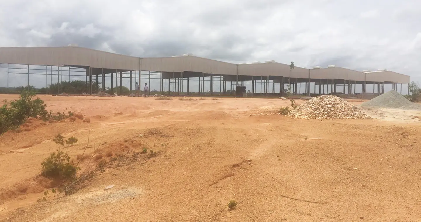 LMI Beahu project overview
